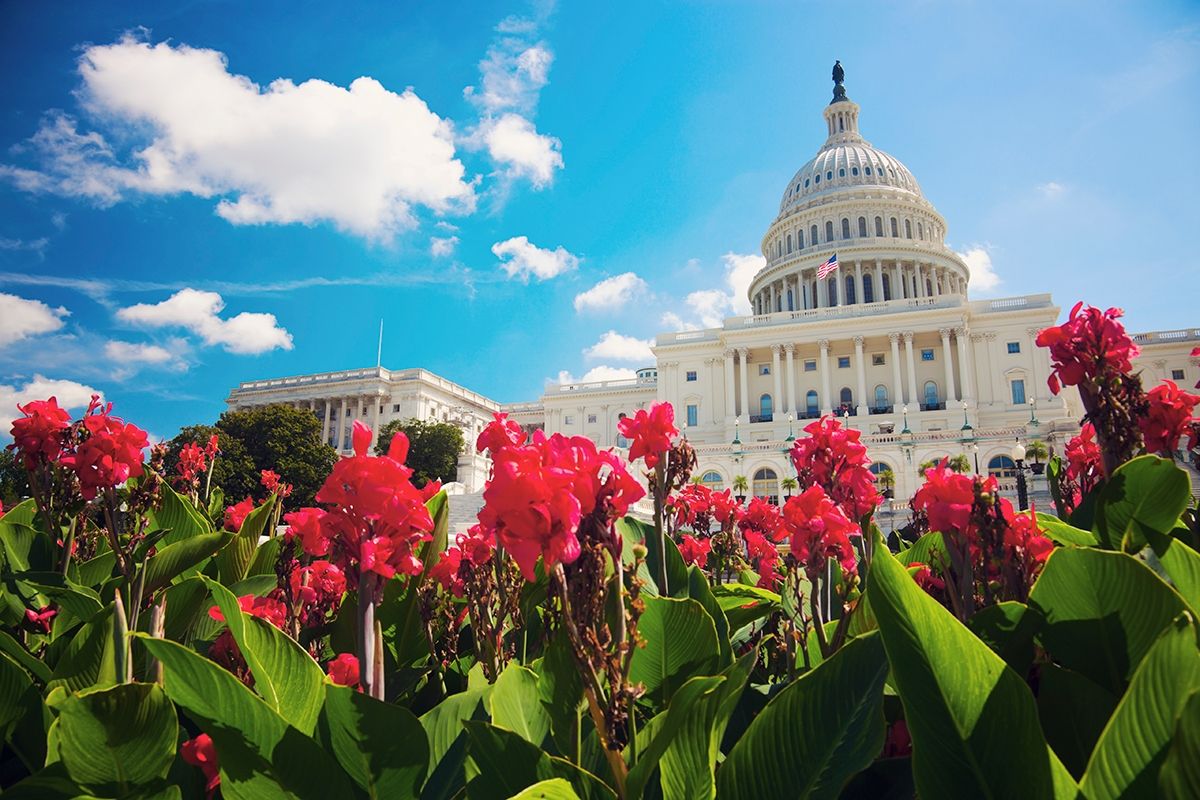 Capitol Building in Spring